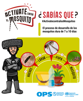 Diapositiva para redes sociales