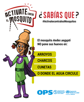 Diapositiva para redes sociales