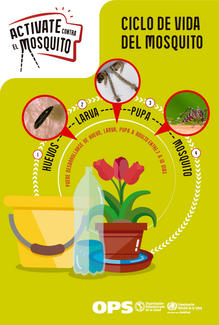 Diapositiva para redes sociales