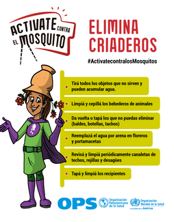 Diapositiva para redes sociales