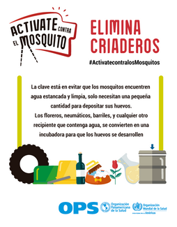 Diapositiva para redes sociales