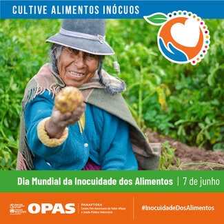 Cultiva alimentos inócuos