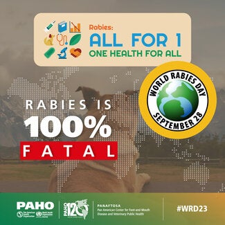 Social Media Rabies Cards 2023