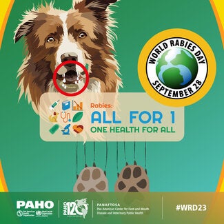 Social Media Rabies Cards 2023