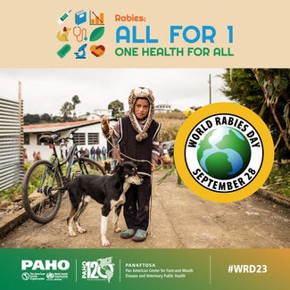 Social Media Rabies Cards 2023