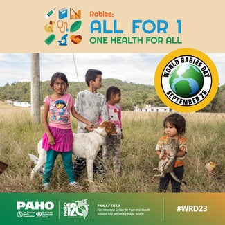 Social Media Rabies Cards 2023