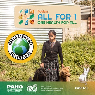 Social Media Rabies Cards 2023