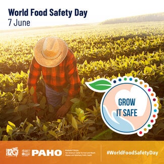 World Food Safety Day 2023 Social Media Card
