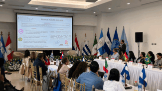 ""participantes de la 12 asamblea ordinaria de la rilaa reunidos