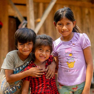 Summary of the Initiative: Pan American Health Organization initiative in alliance with the Government of Canada
