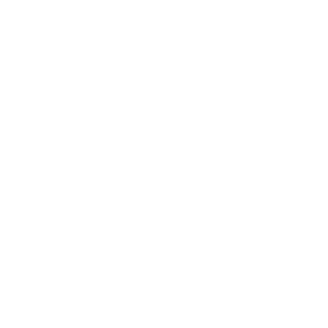 human rabies