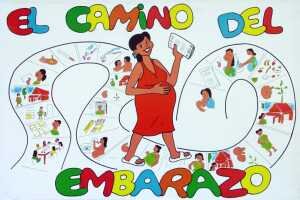Camino del embarazo