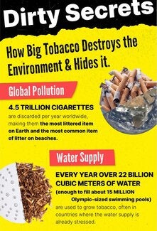 Infographic: Dirty Secrets- How Big Tobacco Destroys the Environment & Hides it