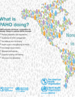 Cover image for the Plan of Action for the Prevention and Control of NCDs in the Americas, 2013-2019