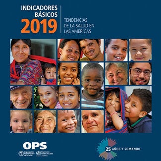  Portada de Indicadores básicos 2019