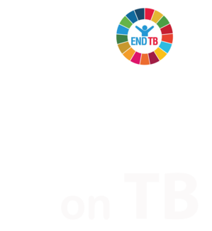 UN High-level Meeting on TB