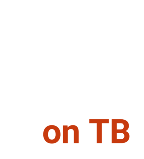 UN High-level Meeting on TB
