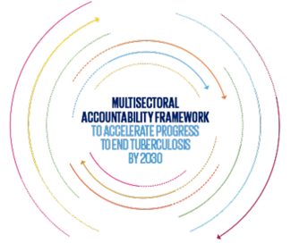 Marco multisectorial de rendición de cuentas para acelerar los avances hacia el fin de la tuberculosis en 2030