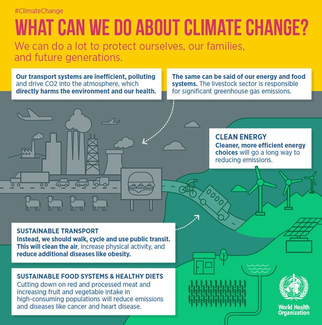 Infographic: What can we do about climate change?