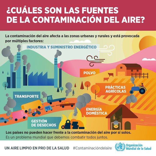 salado infinito Álgebra Infografía. ¿Cuáles son las fuentes de la contaminación del aire?; 2018 -  OPS/OMS | Organización Panamericana de la Salud