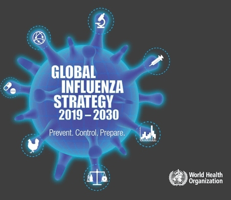 Global Influenza Strategy 2019 2030 Paho Who Pan American Health