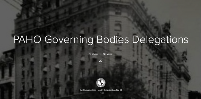 PAHO Governing Bodies Delegations