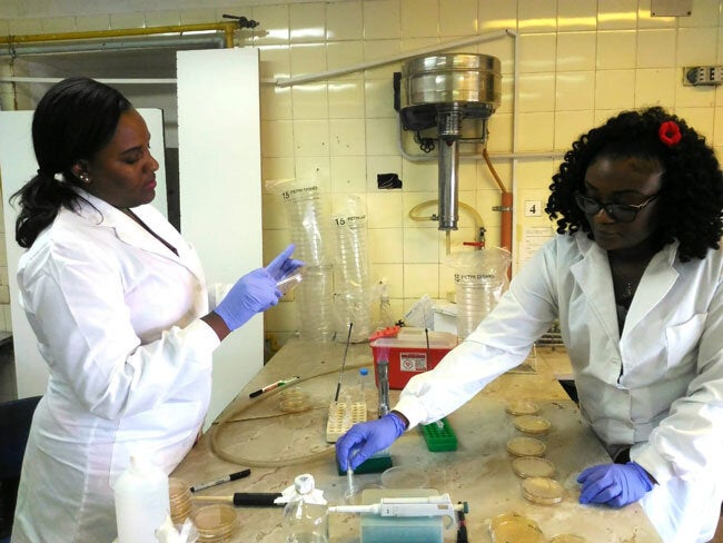 Strengthening national and regional antimicrobial resistance (AMR) detection and surveillance in CARICOM member states 2019-2021