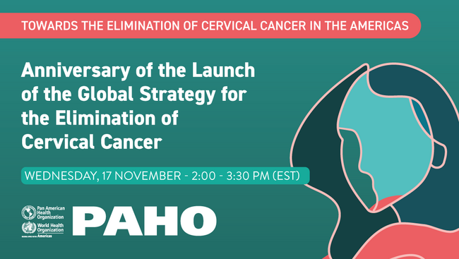 Anniversary of the Launch of the Global Strategy for the Elimination of ...