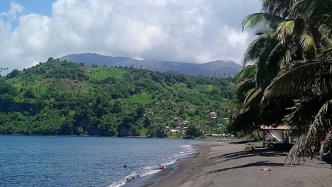 St Vincent and the Grenadines - The Combined response to the COVID