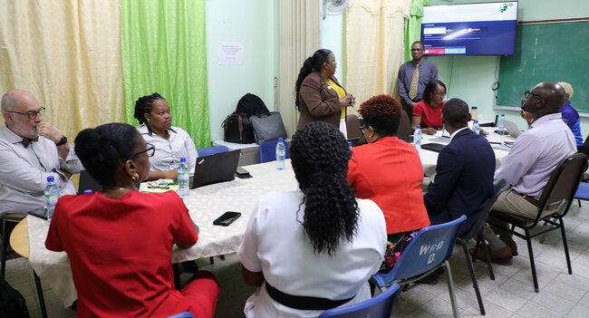 Grenada advances National Mental Health Reform in collaboration with PAHO