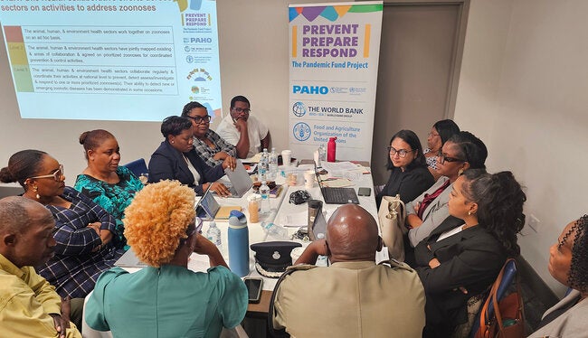 Stakeholders in Saint Vincent and the Grenadines trained in IHR self-assessment through PAHO led workshop