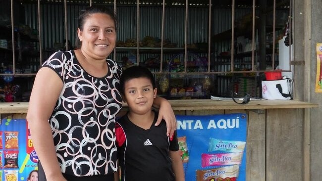 Webinar on the Plan of Action for Malaria Elimination in the Americas ...