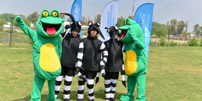 Mascotas Dengadores (ranas y mosquitos)