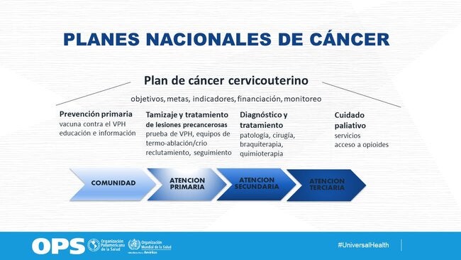 Planes nacionales de cáncer cervicouterino
