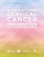 Cover of Downloads Full toolkit (file size:8,2 Mb) Presentation on Improving data for decision-making: a toolkit for cervical cancer prevention and control programmes pptx, 6.15Mb
