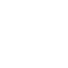 Icon of globe