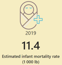 infant mortality data 2019