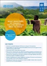 WHAT MINISTRIES OF FINANCE, TAX AND REVENUE NEED TO KNOW