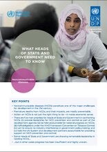 WHAT HEADS OF STATE AND GOVERNMENT NEED TO KNOW