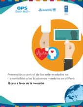 Prevención y control de las enfermedades no transmisibles y los trastornos mentales en el Perú. El caso a favor de la inversión
