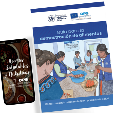Portada de la guía y teléfono con video recetaro