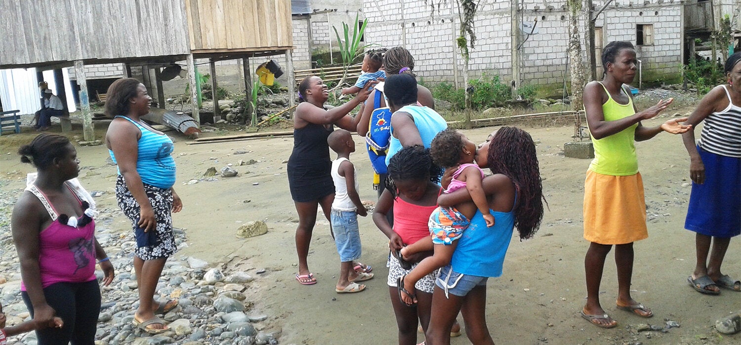 Historia de éxito: América Central vence al vector exótico de la enfermedad de Chagas 