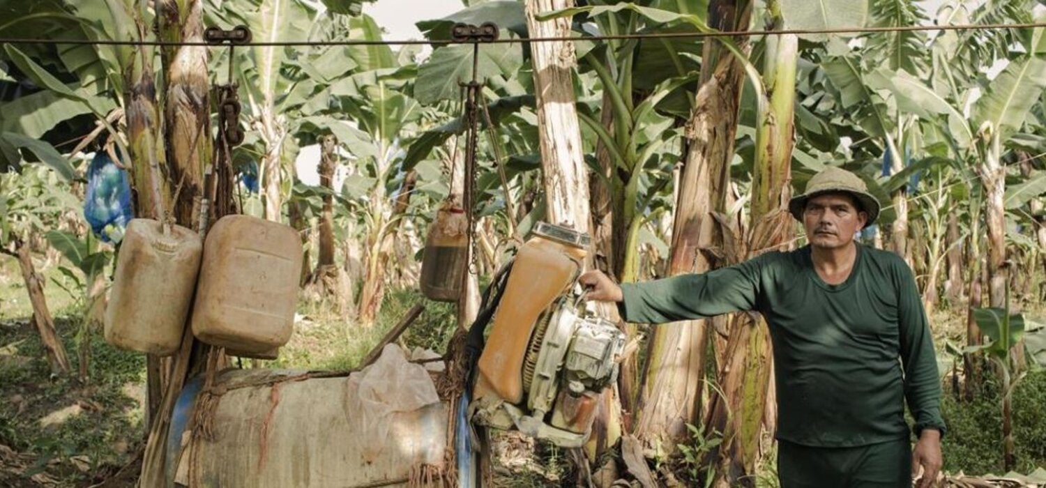 Costa Rica: 'Ripe' for malaria elimination