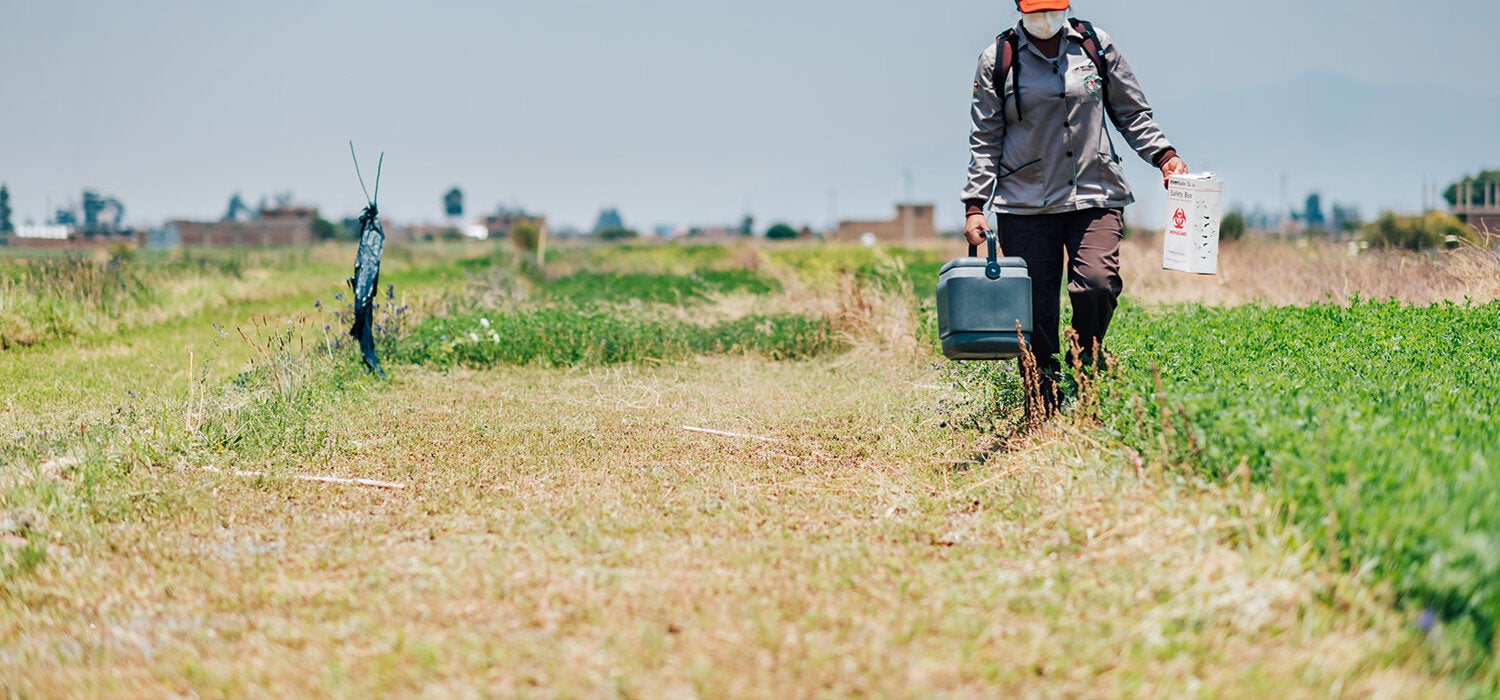 Vacunacion Punata Bolivia