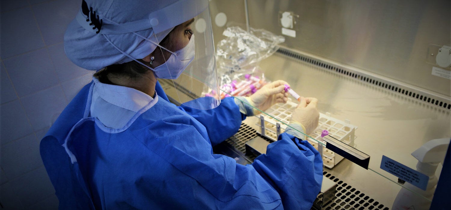 Entrega de antígenos