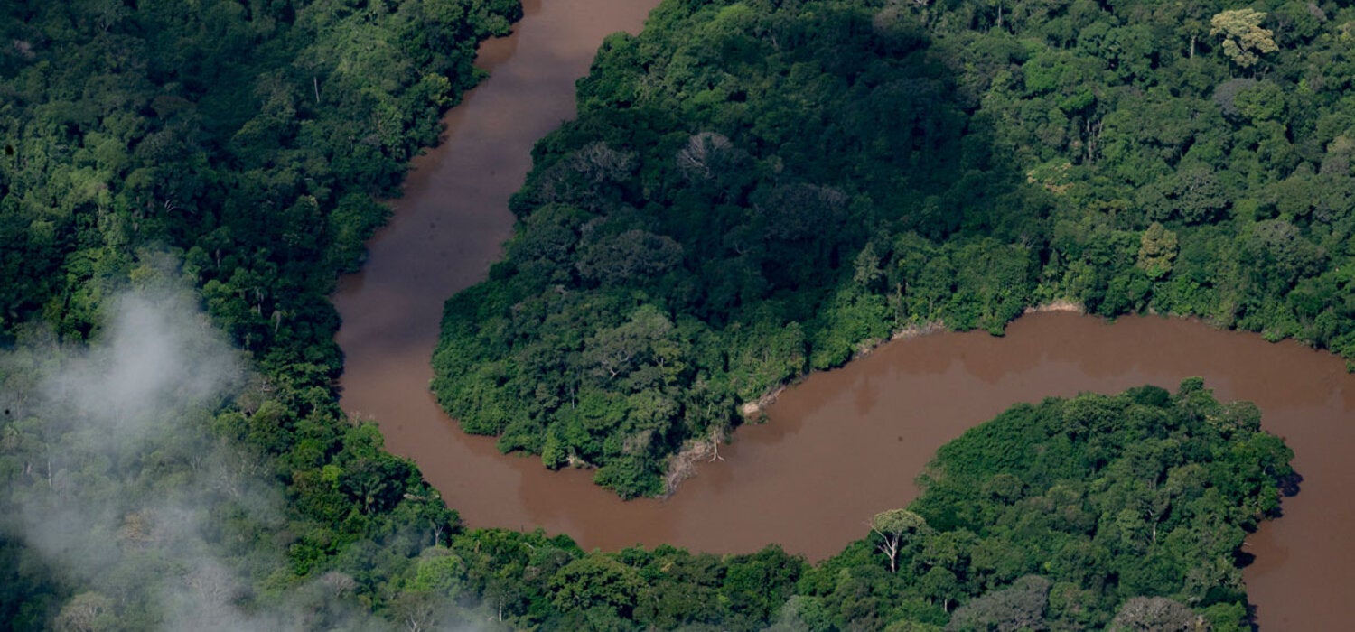 Aerial view of the Amazon