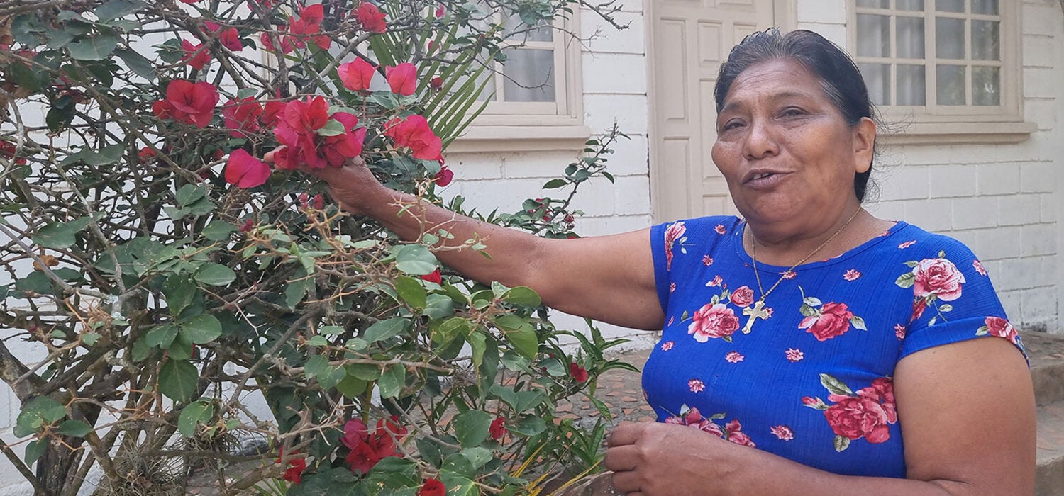 Historia de Clementina