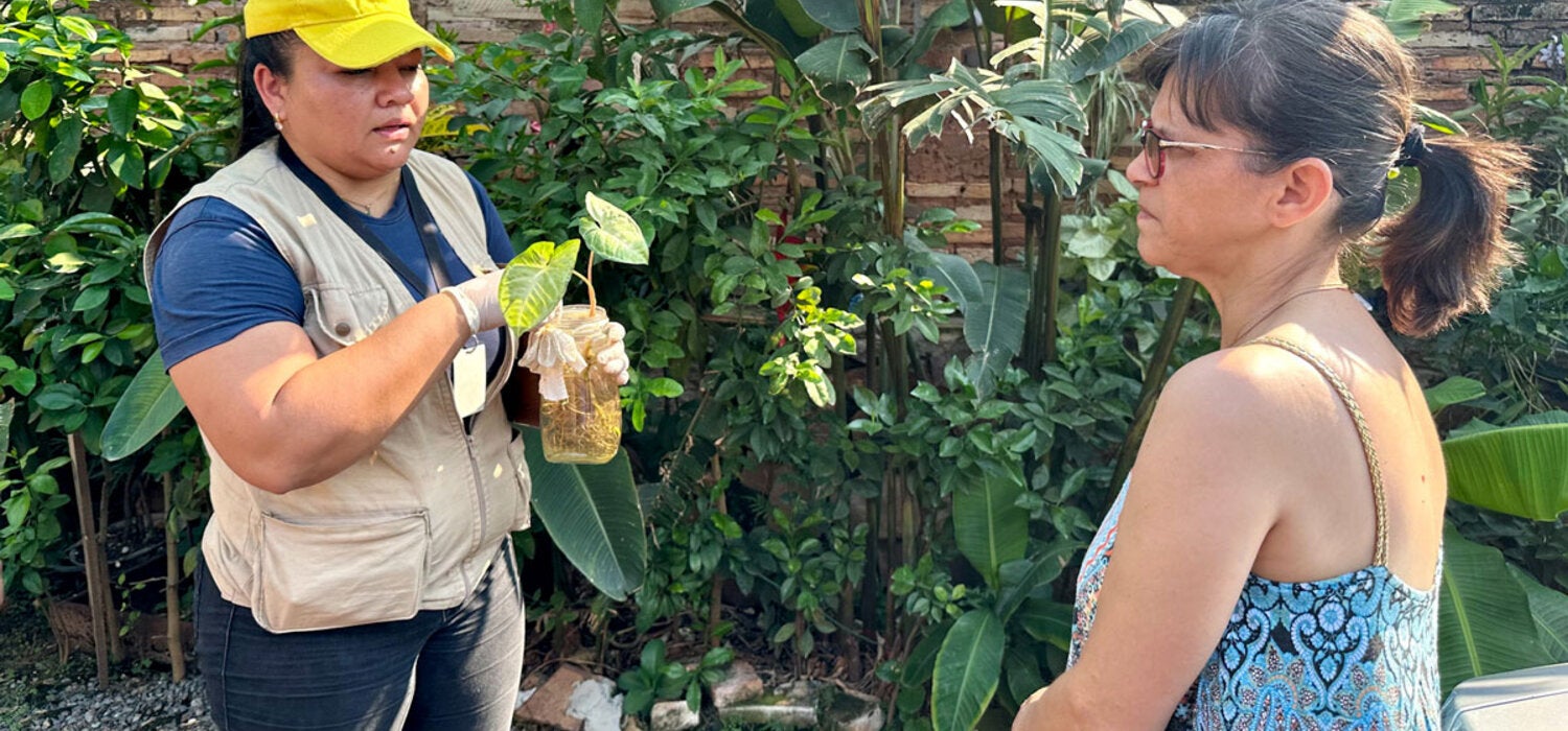 Personal de SENEPA trata un florero con agua para evitar criaderos de mosquitos y recomiendan a la   Un recorrido casa por casa contra el dengue en Paraguay