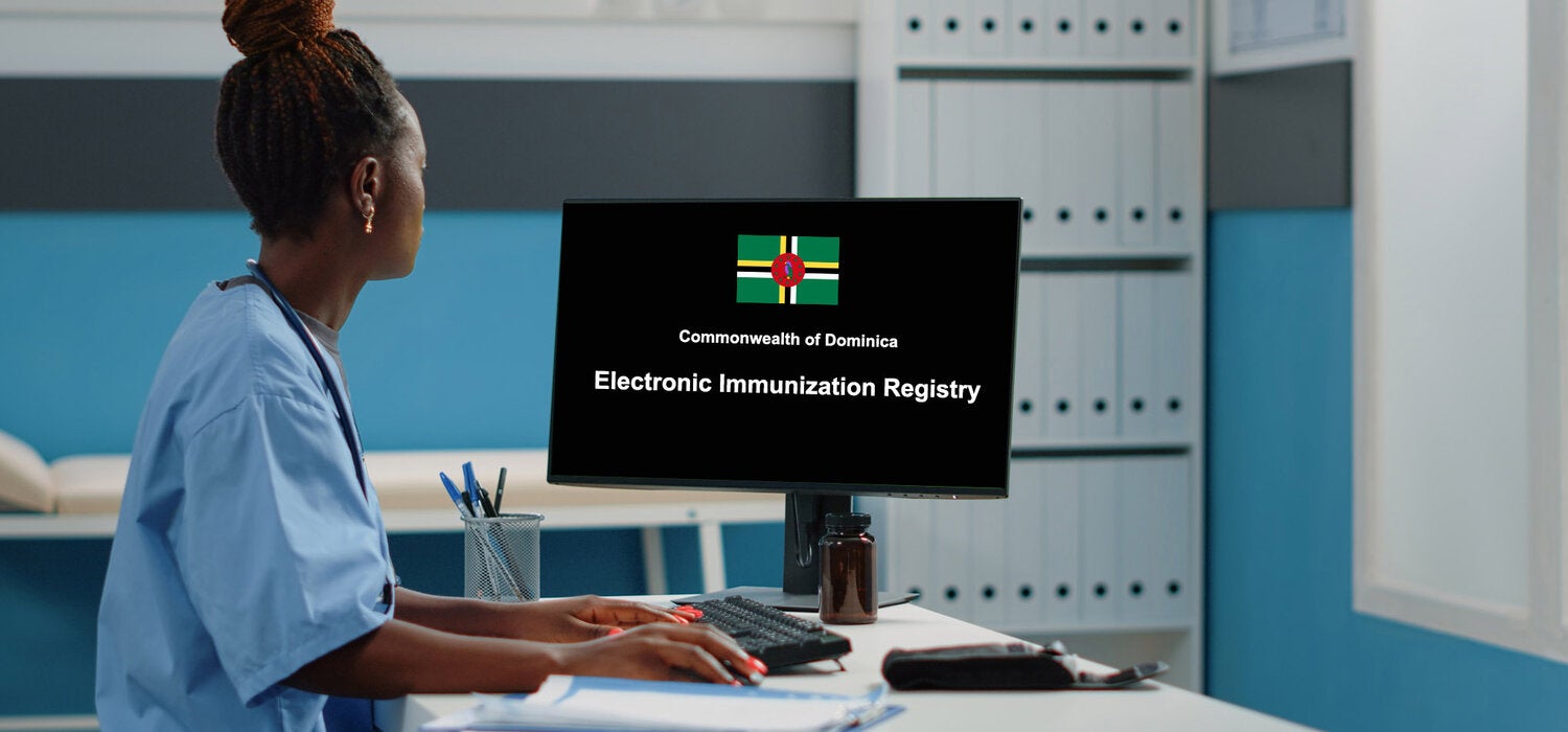 Health worker using a computer