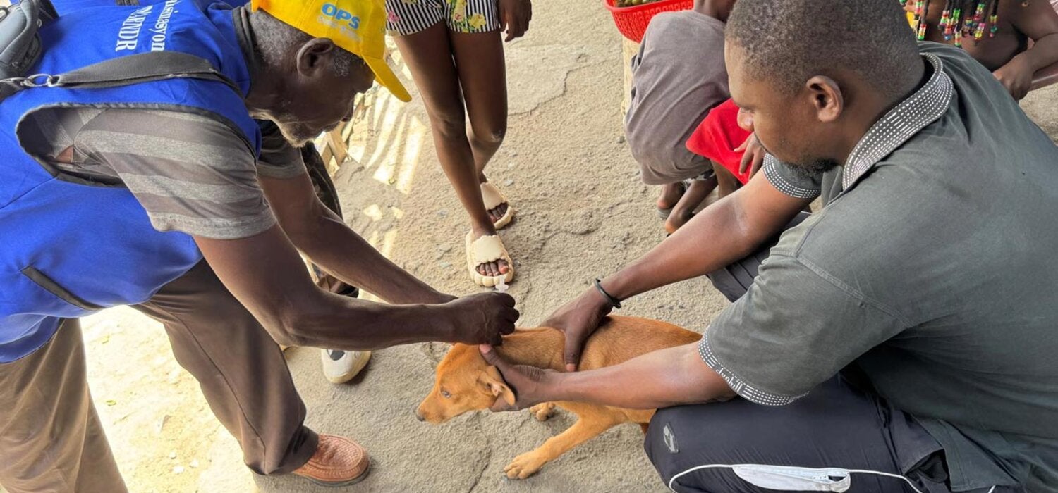 rabies vaccination